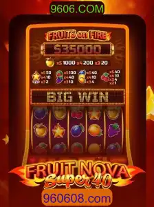 Desvendando as Características e Regras do Jogo FruitNovaSuper40
